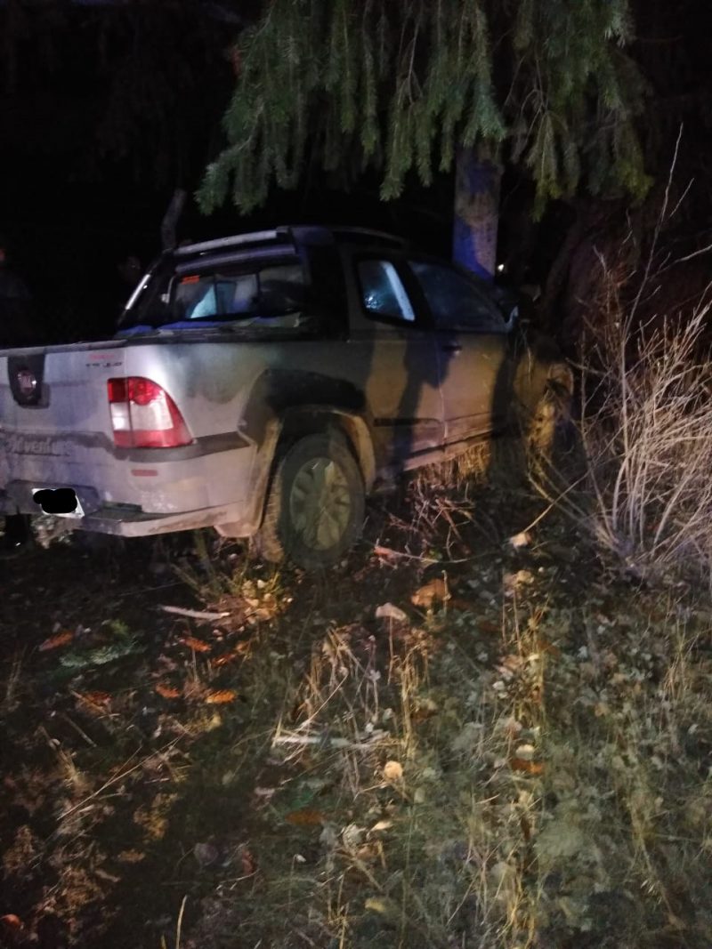 Un auto chocó contra un árbol camino a La Hoya
