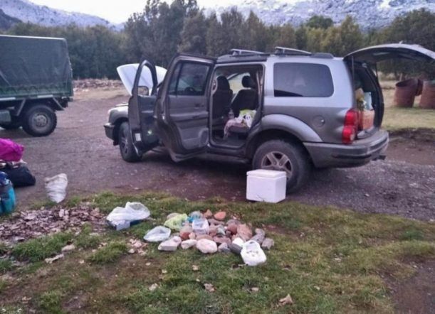Querían pasar a Chile con fósiles de un bosque petrificado