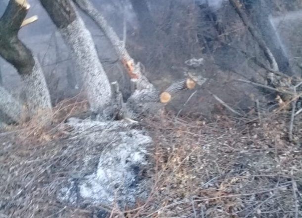 Incendio intencional y pintadas por Maldonado en ruta 40