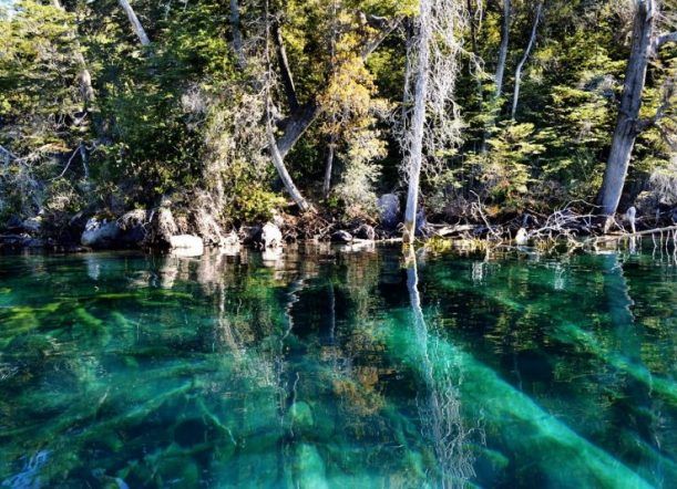 Neuquén: Alertan sobre riesgo de tsunami por un bosque sumergido