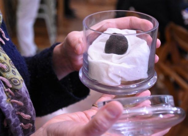 Finalizaron las 1° Jornadas de Truficultura en la Patagonia