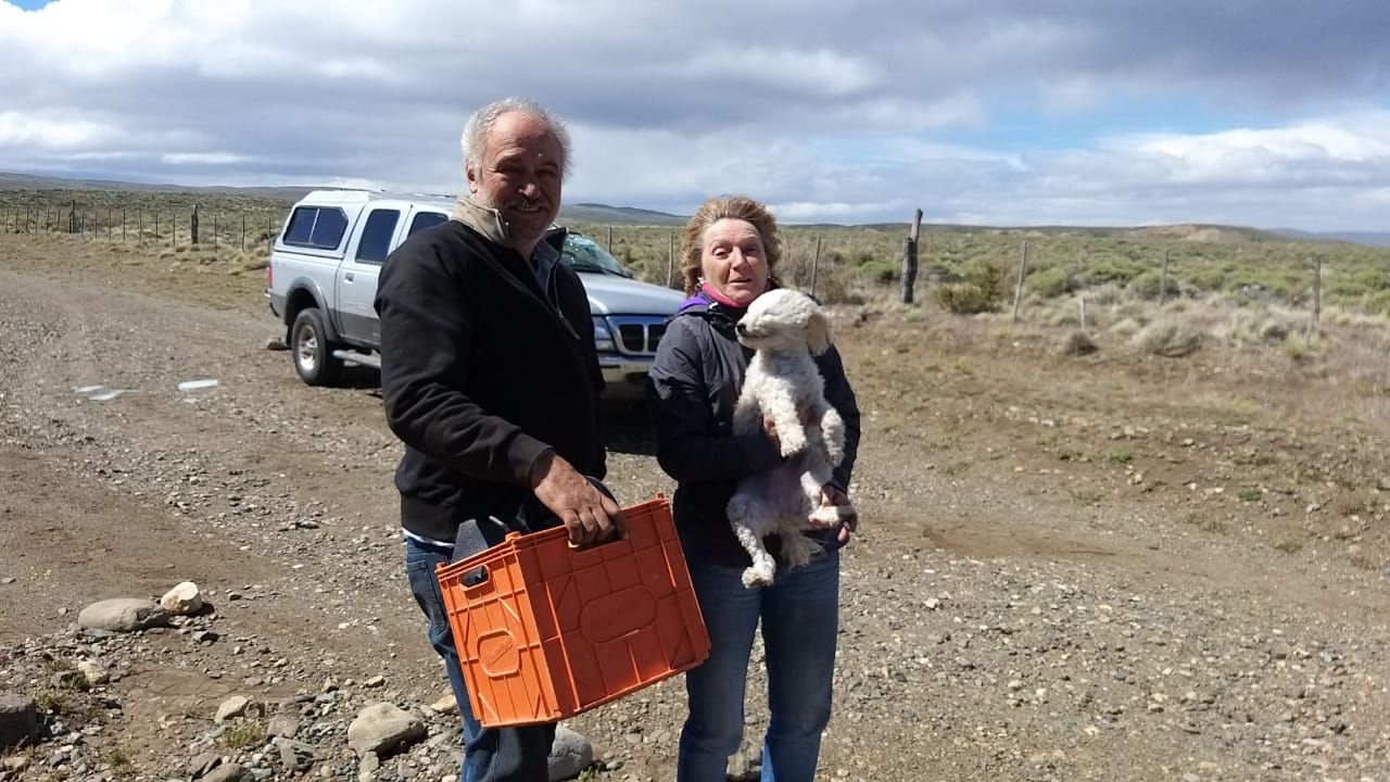 El viento provocó dos vuelcos en el acceso a Esquel