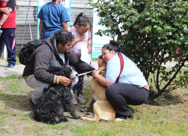 Bella Vista: Realizarán una campaña de castración gratuita