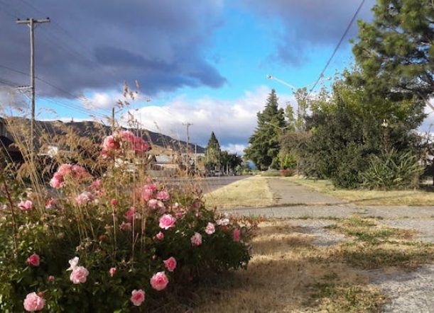 Jueves con máxima de 17 grados