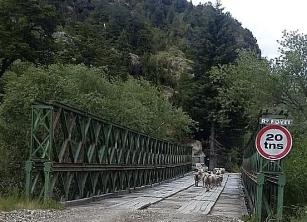 Intensa búsqueda de un hombre que cayó al río Foyel