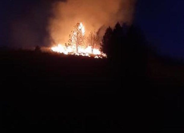 Extinguen incendio en un pinar del Cañadón de Bórquez