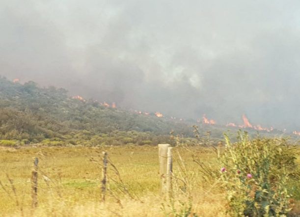 Arroyo Pescado: Bomberos salvó una vivienda del fuego