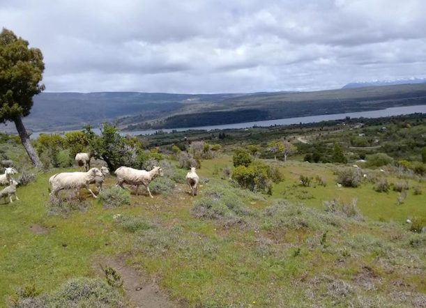 Avanzan en proyecto de agua potable para Sierra Colorada