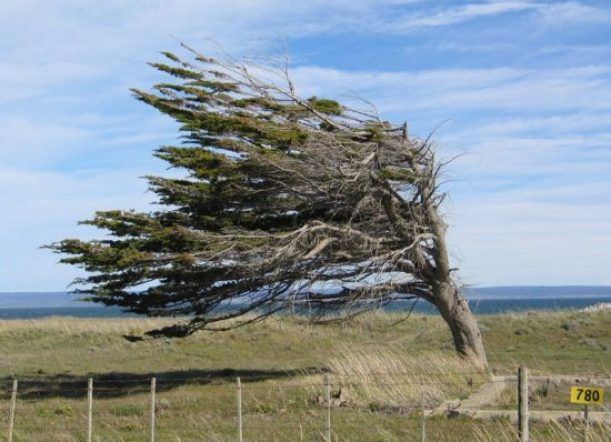 Alerta por vientos intensos en Chubut