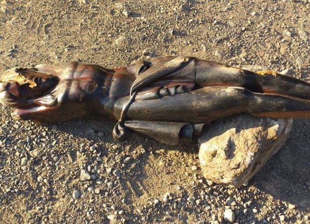 Destruyeron “El Cristo” del Parque Nacional Los Alerces
