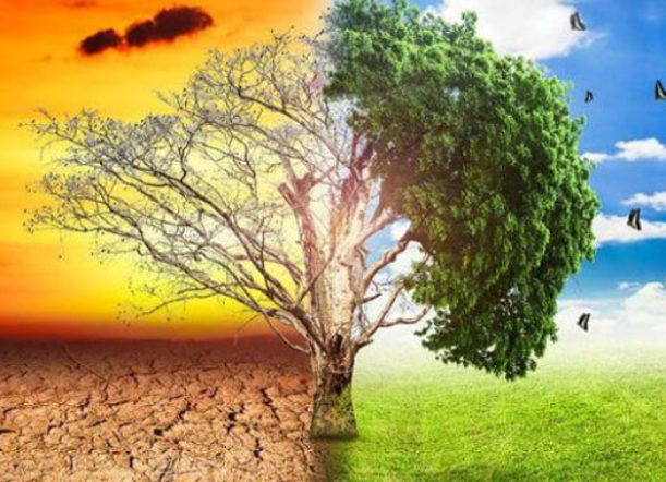 El Ministerio de Ambiente creó el Programa de Cambio Climático