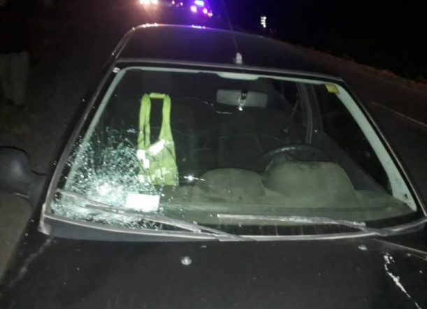Epuyén: Un auto embistió una vaca
