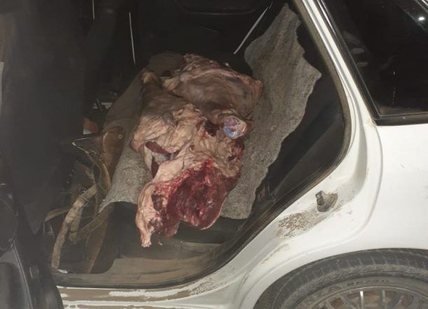 Los encontraron con un ternero recién faenado en el auto
