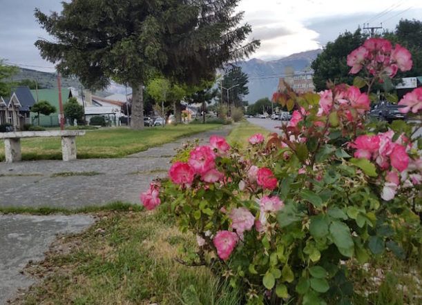 Martes agradable, con máxima de 24 grados