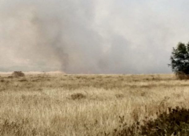 Controlan incendio forestal en el ingreso a El Maitén