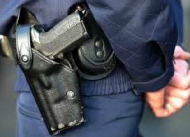 Maltrato animal: Denuncian a policía que disparó a una perra