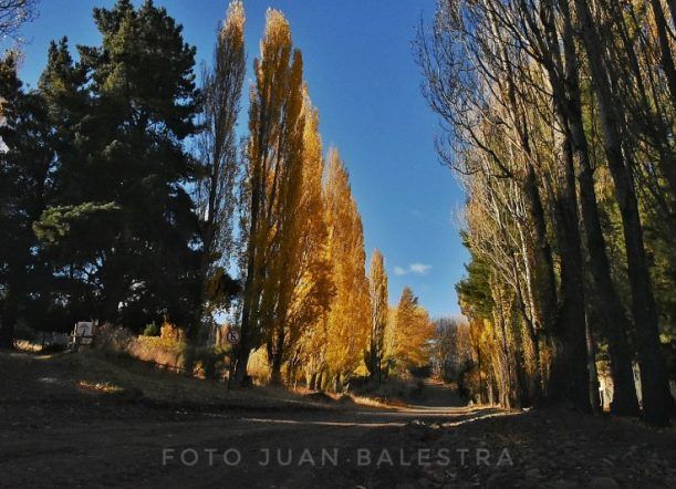 Buena semana! Se esperan 11 grados de máxima