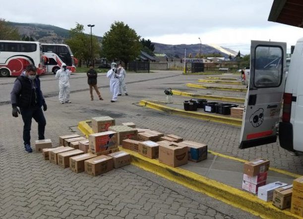 Funcionario habría permitido repartir mercadería a un chofer de Bariloche