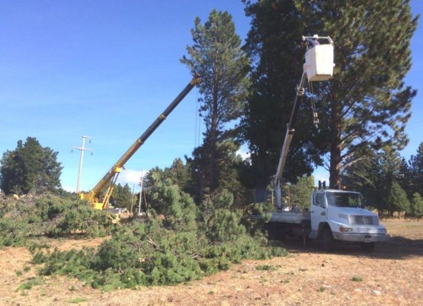 Este sábado, corte de luz en varios sectores de Esquel
