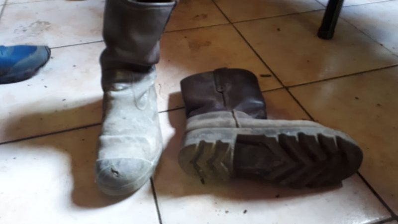 Encontraron el LED robado en el patio de su ex