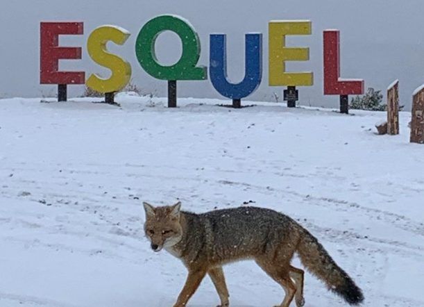 El frío no da tregua y siguen las nevadas