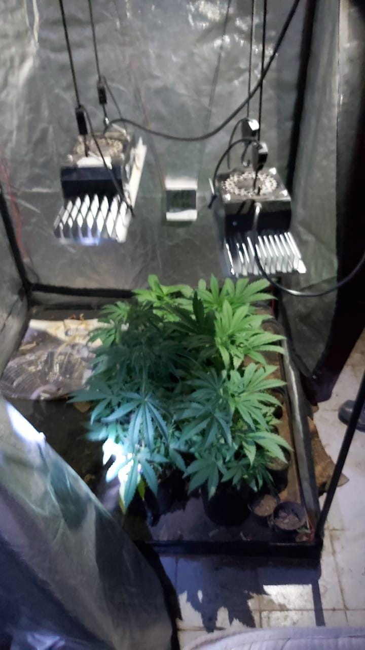 Vargas: En allanamientos encontraron un arma y marihuana