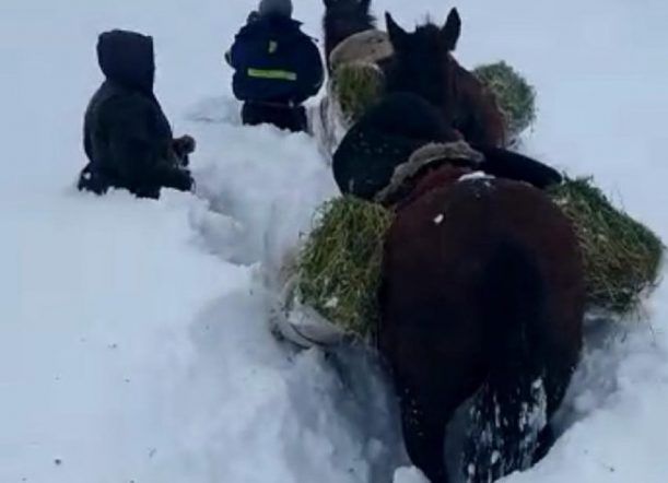 Falta de caminos: Complicados para buscar ayuda a caballo