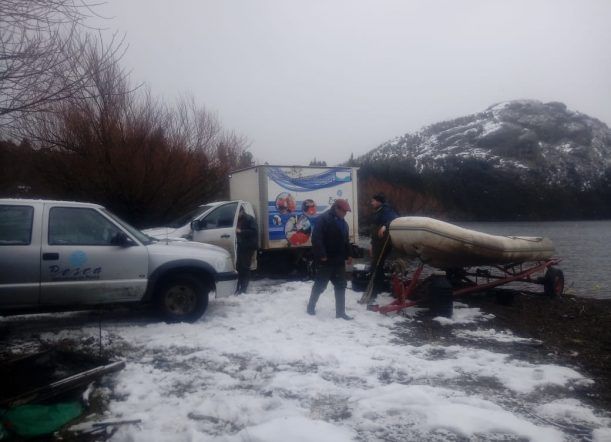 Cordillera: Pesca Continental realiza campaña de desove
