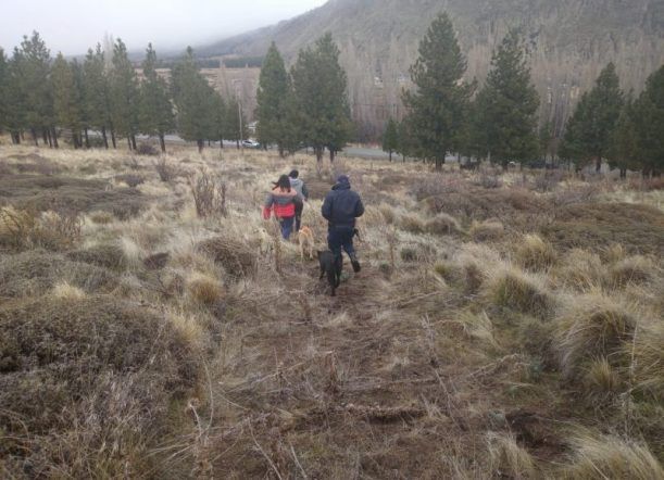 Intentaron ingresar a la ciudad caminando por las vías