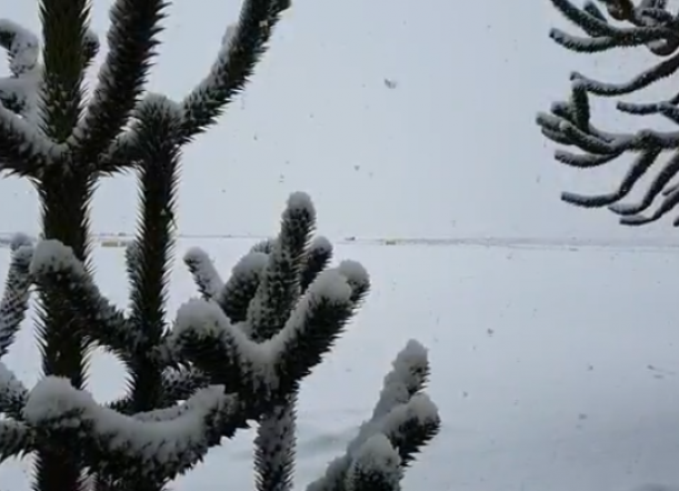 Domingo con una persistente nevada en Esquel