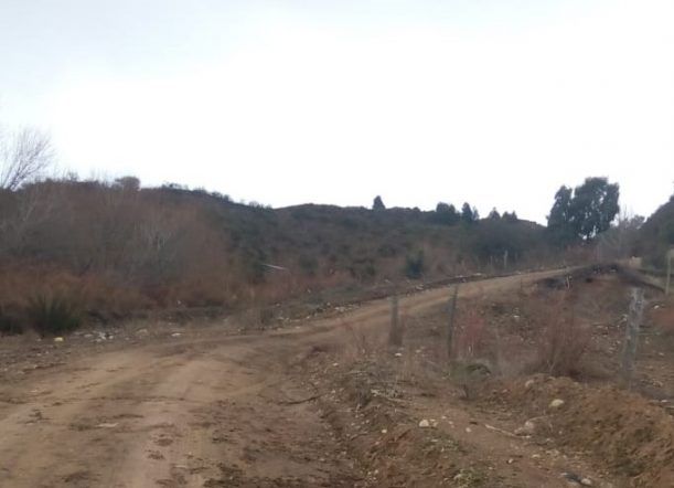 Salió a caminar y encontró el cadáver de un hombre