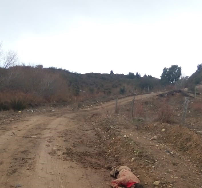 Salió a caminar y encontró el cadáver de un hombre