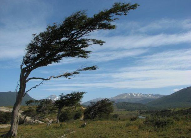 Este domingo continúa el alerta por vientos fuertes