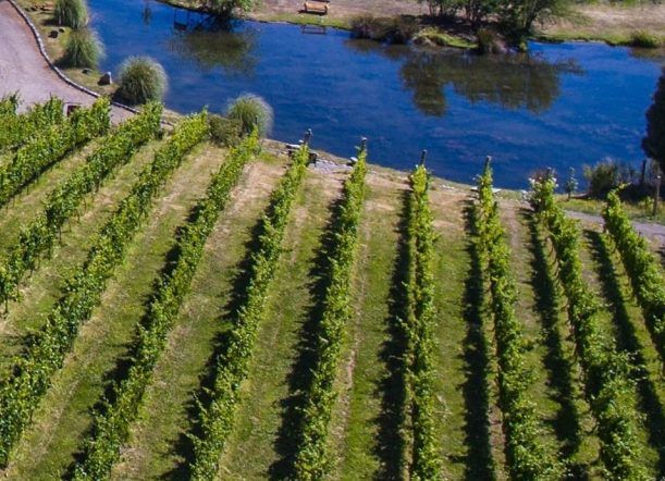 Los vinos de Trevelin se abren paso con identidad