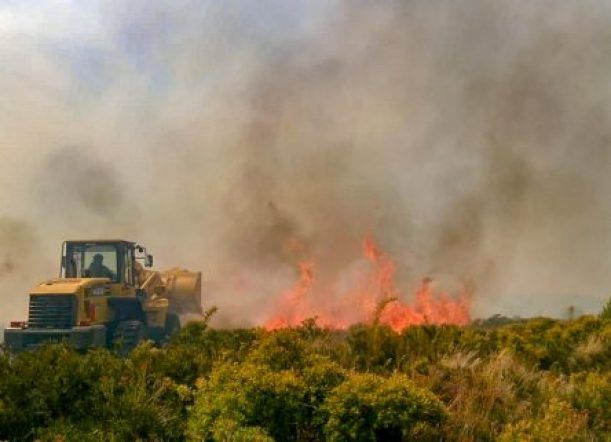 Nación y Provincia trabajarán sobre áreas incendiadas