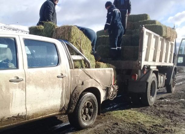 Entregaron aportes para la compra de pasto en la cordillera
