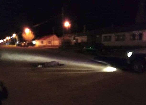 Homicidio con arma blanca en Gobernador Costa