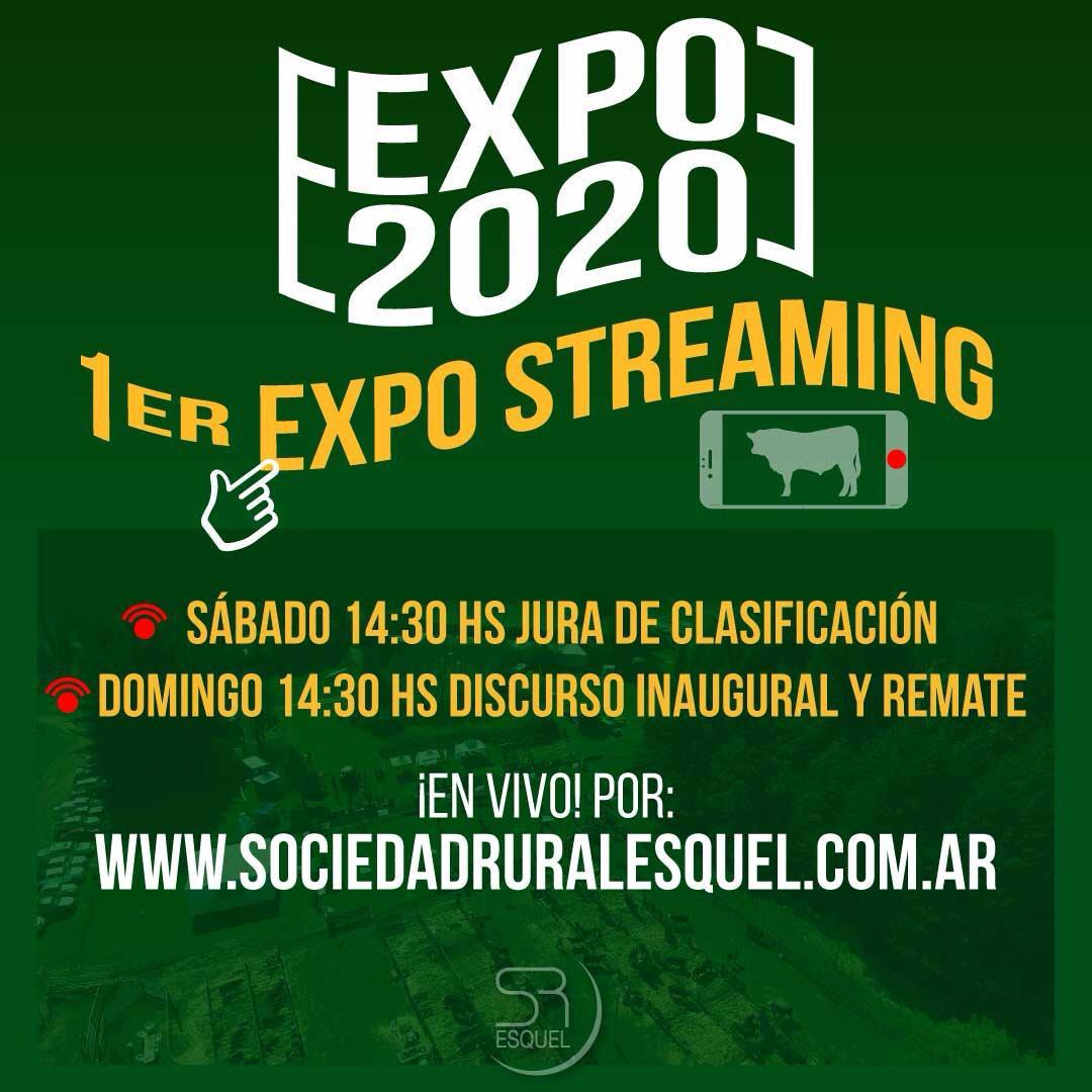 Comenzó la Expo Bovina Esquel, vía streaming