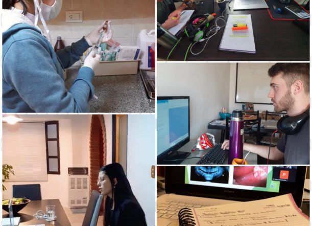 Los “universitarios virtuales”, una realidad que nadie imaginaba