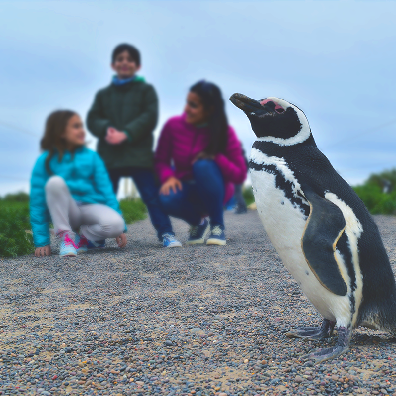 Puerto Madryn (Puerto Madryn Turismo )