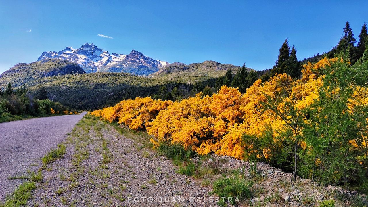 Ruta colorida (Juan Balestra )