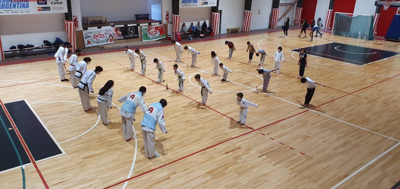 (Escuela Sur de Taekwondo)