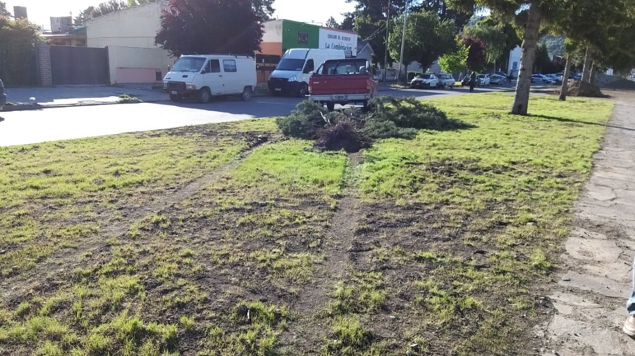 A raíz del fuerte choque, la camioneta pasó por encima de la plazoleta y quedó en el otro lado de la Avenida Fontana (EQS Notas)