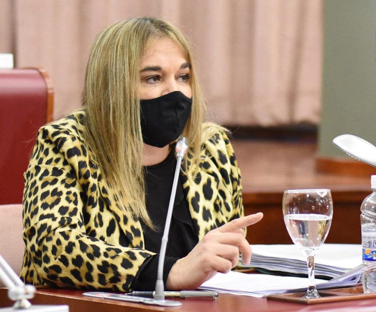 La Diputada Lloyd Jones pidió el tratamiento urgente de la Iniciativa Popular