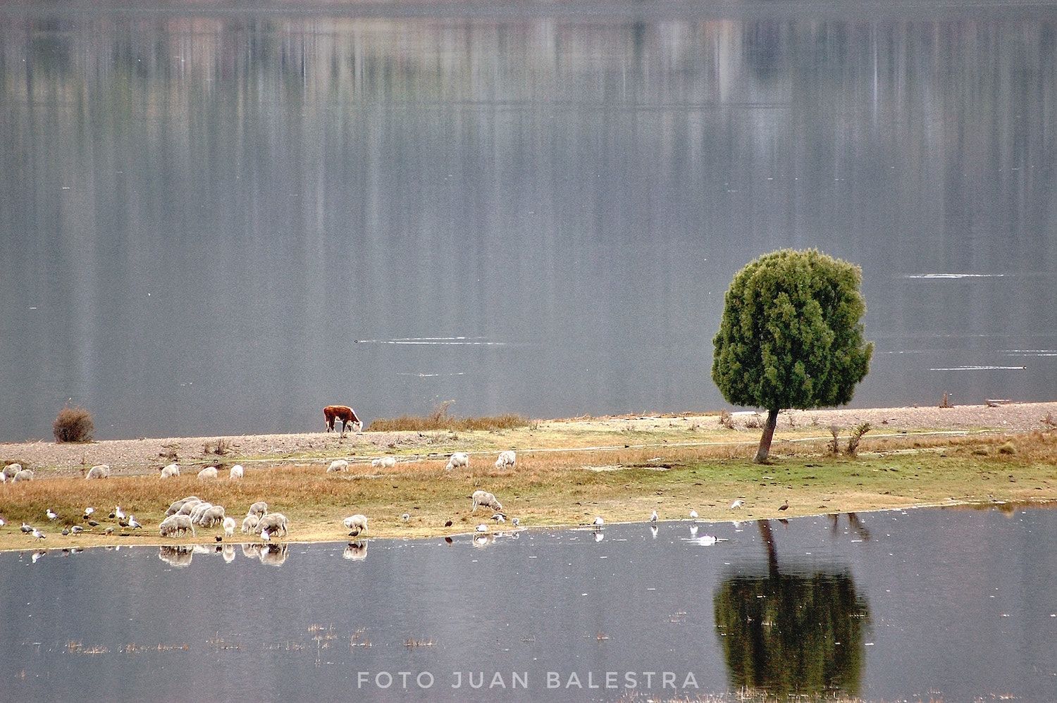 Buen clima en el inicio del verano en la región. (Juan Balestra )