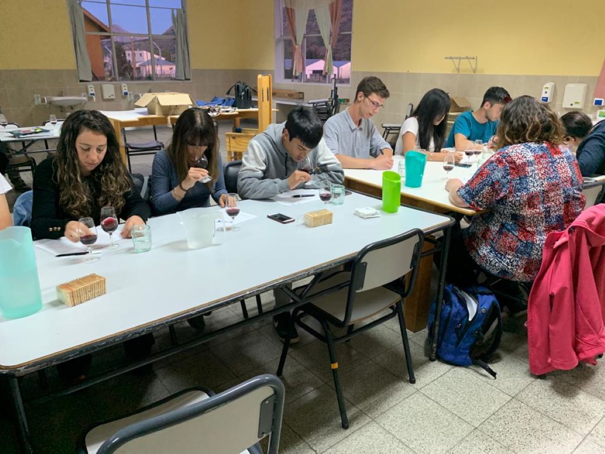 Carrera de Viticultura y enología dictada en el ISET 815