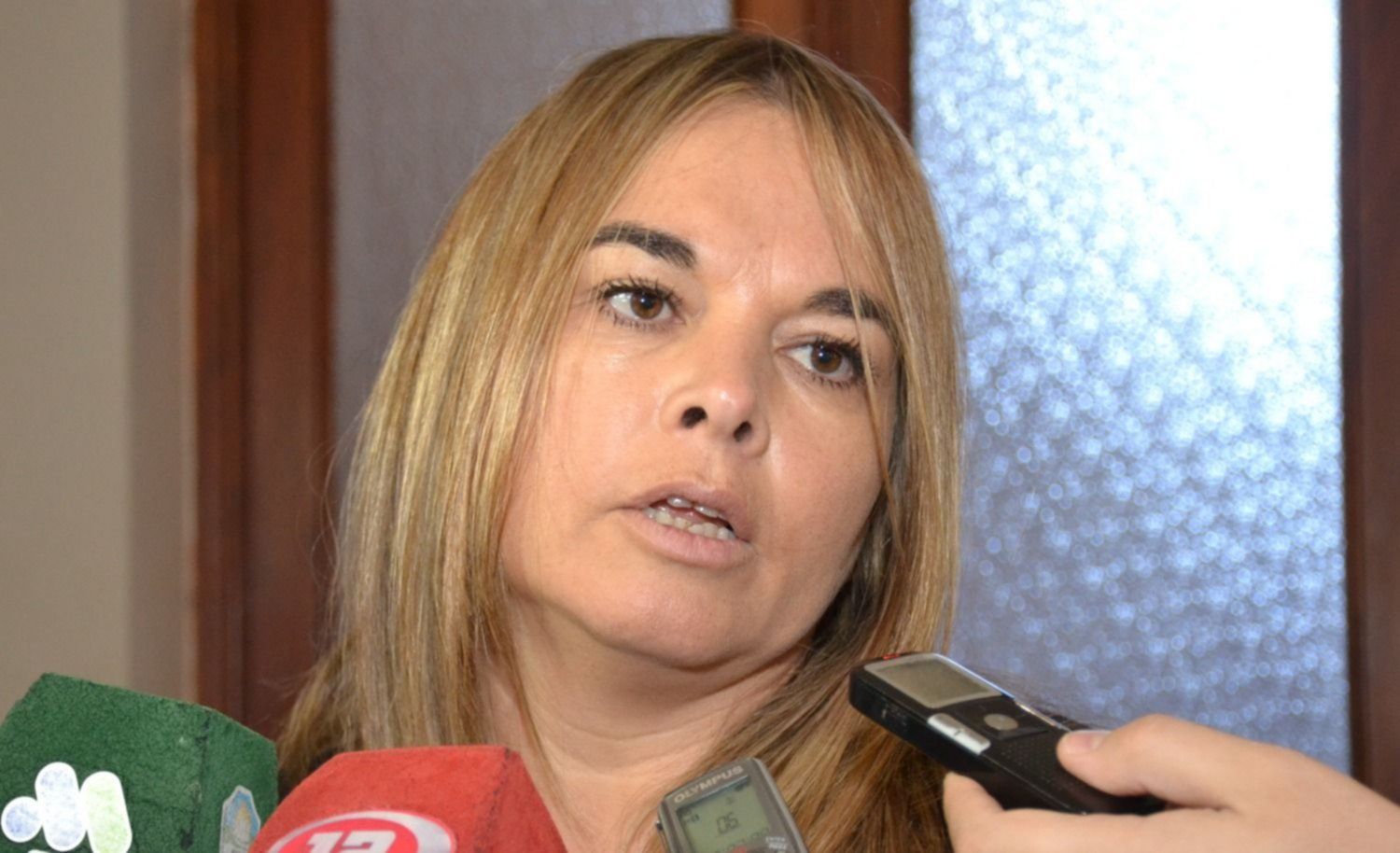 Lloyd Jones presentó los datos sobre presuntas coimas (El Chubut)