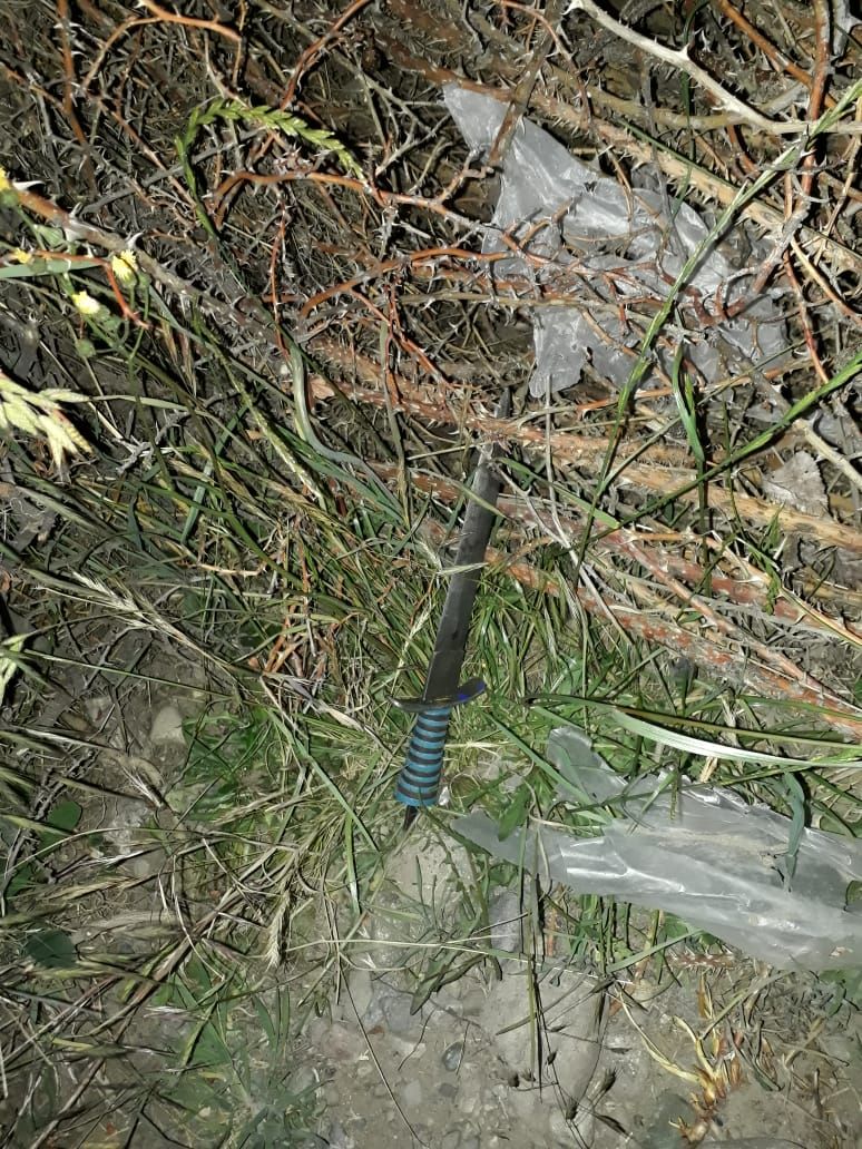Amenazas con arma blanca y daños