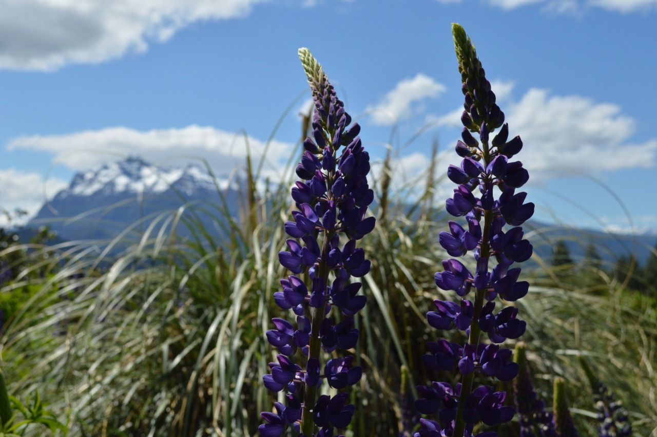Clima en Esquel: baja la temperatura y el viento marca presencia