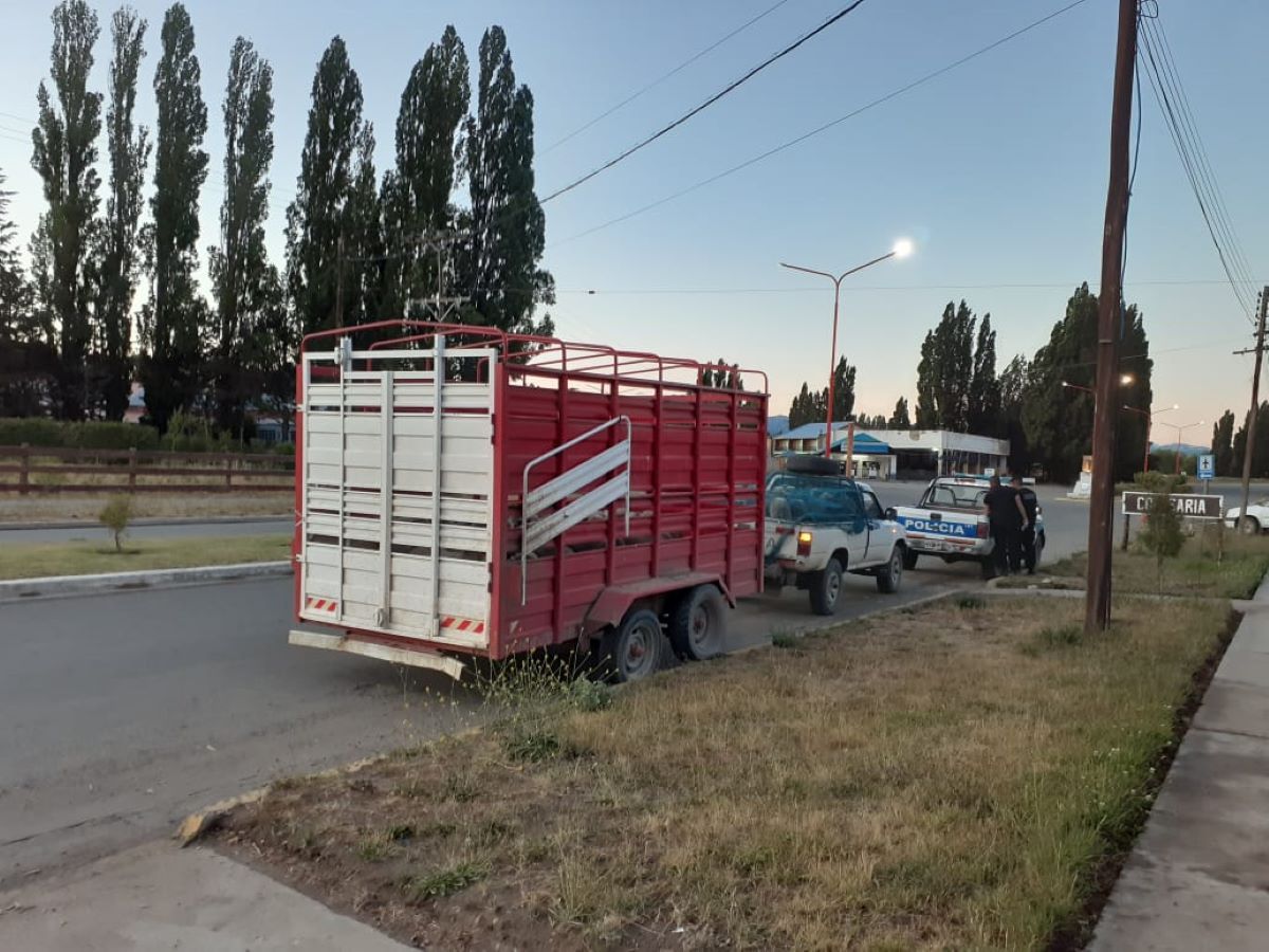 Transporte irregular de hacienda